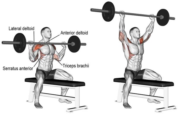 Barbell Shoulder Press