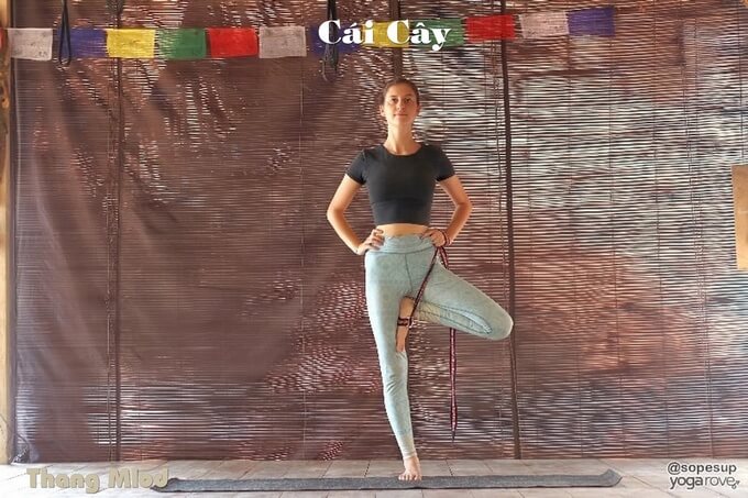 Cái Cây (Vrikshasana - Tree Pose)