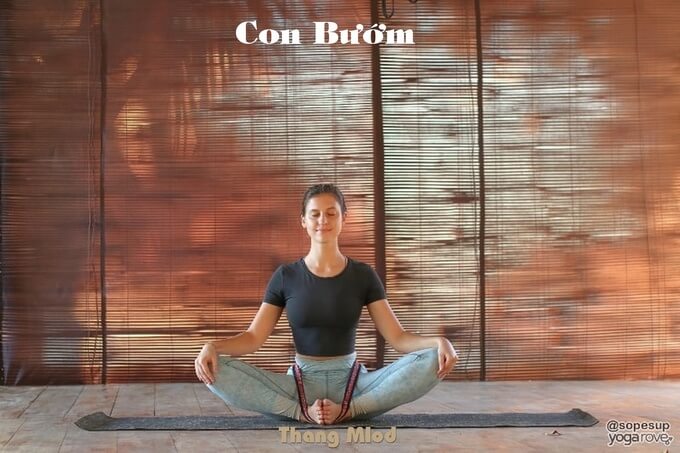 Con Bướm (Baddha Konasana - Butterfly Pose)