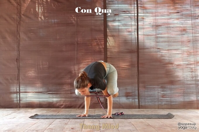 Con Quạ (Bakasana - Crow Pose)