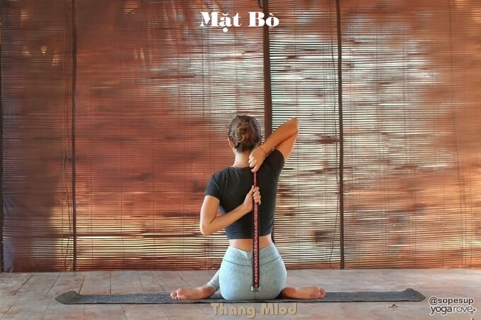 Mặt Bò ( Gomukhasana - Cow Face Pose)