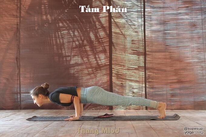 Tấm Phản (Chaturanga Dandasana - Low Plank)